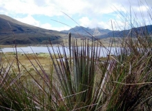Imagen Laguna Pisayambo